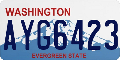 WA license plate AYG6423