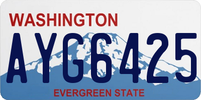 WA license plate AYG6425