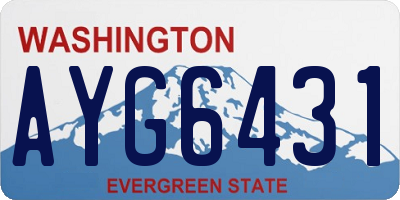 WA license plate AYG6431