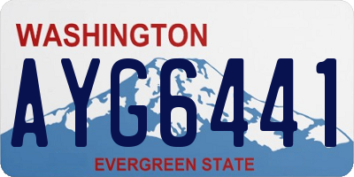 WA license plate AYG6441