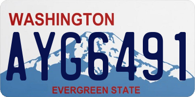 WA license plate AYG6491