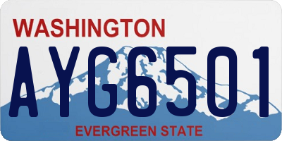 WA license plate AYG6501