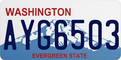 WA license plate AYG6503