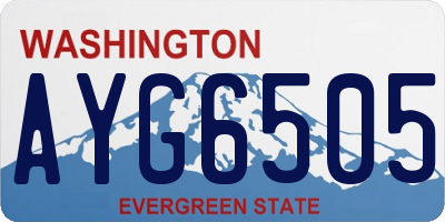 WA license plate AYG6505