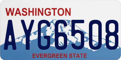 WA license plate AYG6508