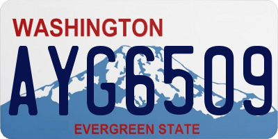 WA license plate AYG6509