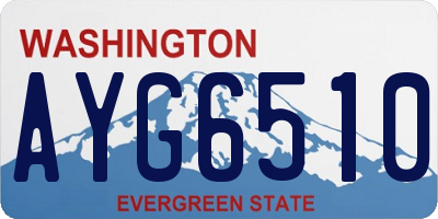 WA license plate AYG6510