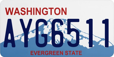 WA license plate AYG6511