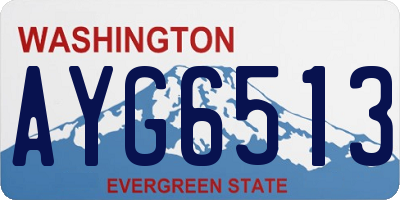 WA license plate AYG6513