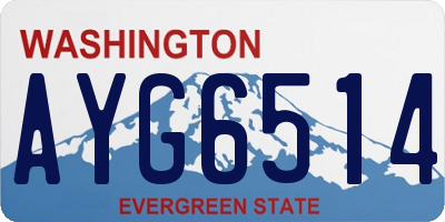 WA license plate AYG6514
