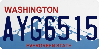 WA license plate AYG6515
