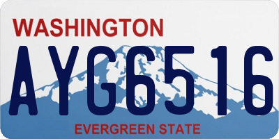WA license plate AYG6516