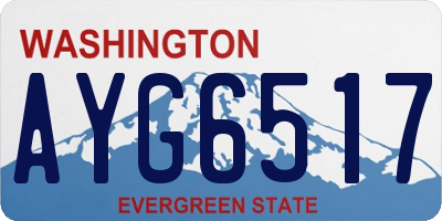 WA license plate AYG6517