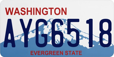 WA license plate AYG6518