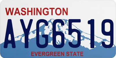 WA license plate AYG6519
