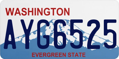 WA license plate AYG6525