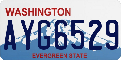 WA license plate AYG6529