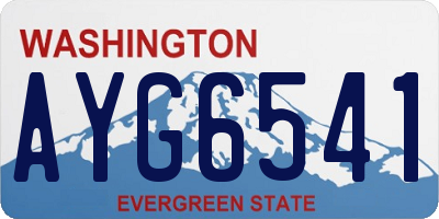 WA license plate AYG6541