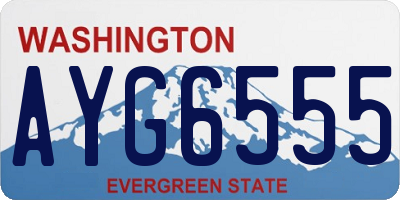 WA license plate AYG6555