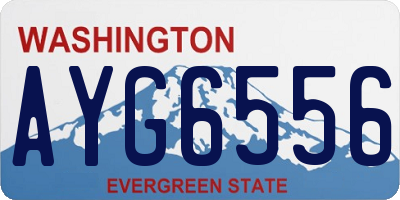 WA license plate AYG6556