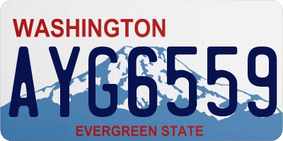 WA license plate AYG6559