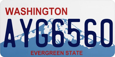 WA license plate AYG6560