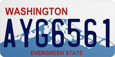 WA license plate AYG6561