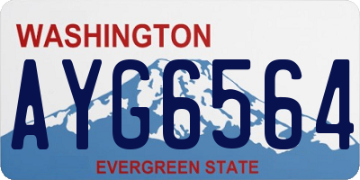 WA license plate AYG6564