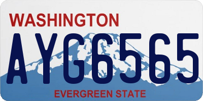 WA license plate AYG6565
