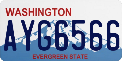 WA license plate AYG6566