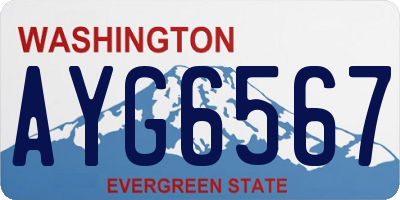 WA license plate AYG6567