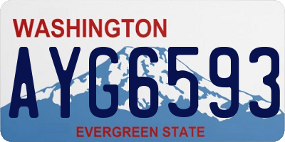 WA license plate AYG6593
