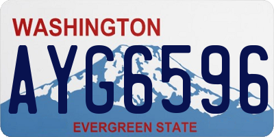 WA license plate AYG6596