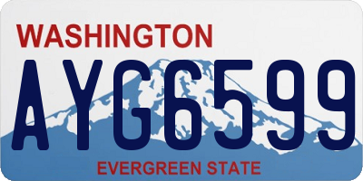 WA license plate AYG6599