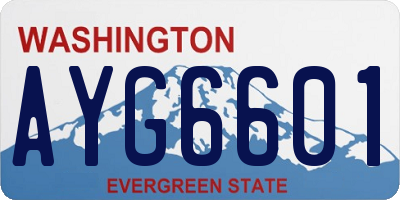 WA license plate AYG6601