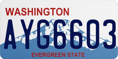 WA license plate AYG6603