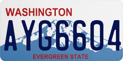 WA license plate AYG6604