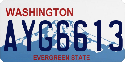 WA license plate AYG6613