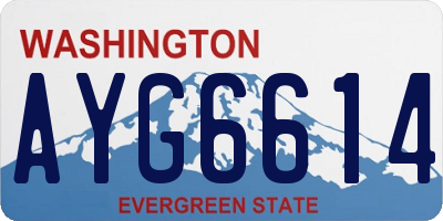 WA license plate AYG6614