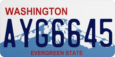WA license plate AYG6645