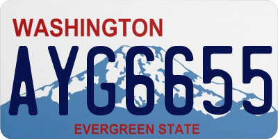 WA license plate AYG6655