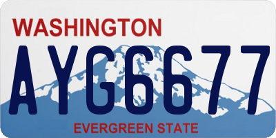 WA license plate AYG6677