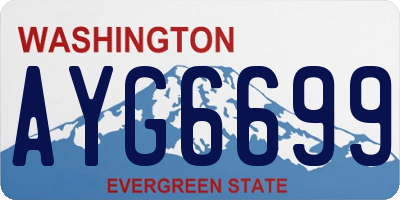 WA license plate AYG6699