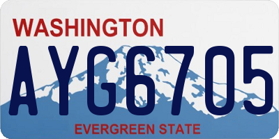 WA license plate AYG6705
