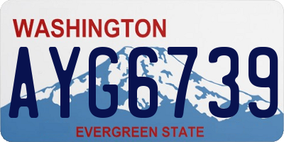 WA license plate AYG6739