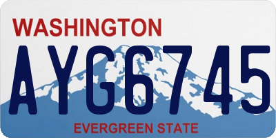 WA license plate AYG6745