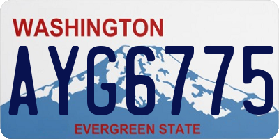 WA license plate AYG6775