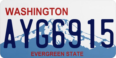 WA license plate AYG6915