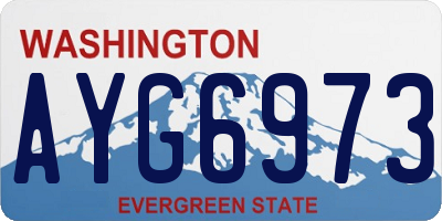 WA license plate AYG6973