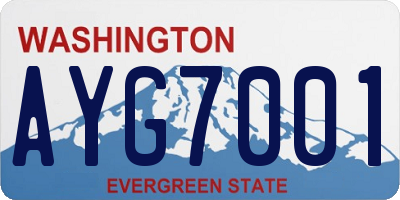 WA license plate AYG7001